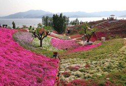 雨花谷庄园