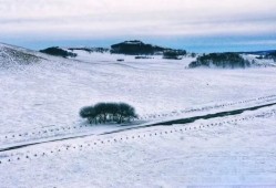 冬日仙境！御道口的冰雪奇观