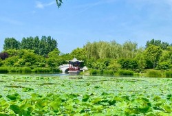 盛夏伊始，来正定这些A级景区度假吧