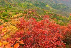 井陉风挡山