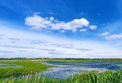 天保那苏图草原旅游度假区