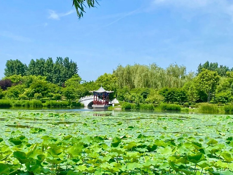 盛夏伊始，来正定这些A级景区度假吧  第1张