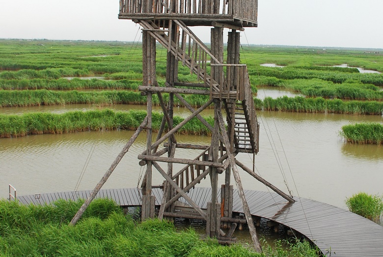 曹妃甸湿地景区