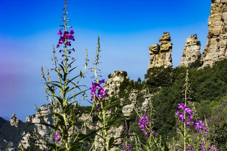 超详细白石山旅游攻略（交通+住宿+美食+景点路线）  第11张