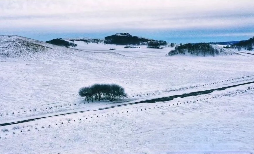 冬日仙境！御道口的冰雪奇观  第1张