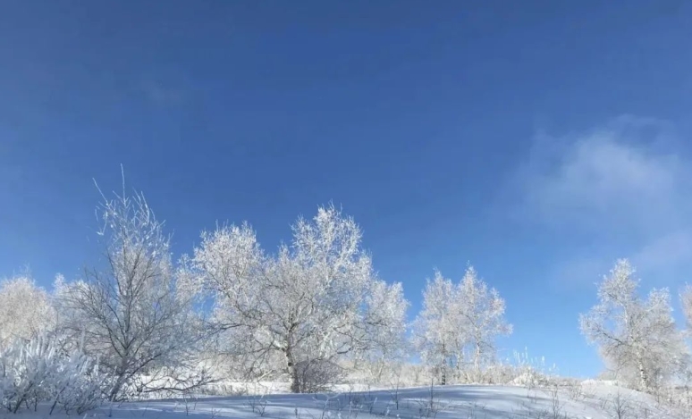 冬日仙境！御道口的冰雪奇观  第3张